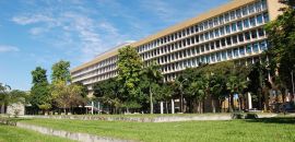 MEC autoriza aulas online no ensino superior até dezembro