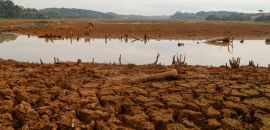 Estiagem no Paraná pode perdurar até fevereiro do ano que vem