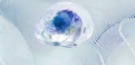 Como aplicar neurociência na gestão dos negócios?